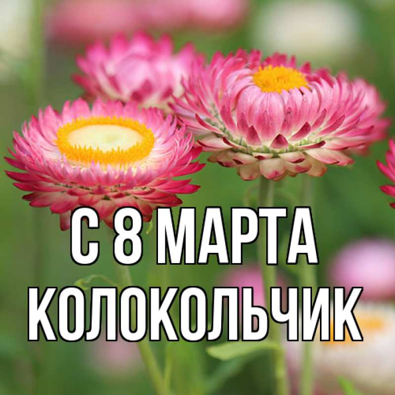 Картинка C 8 МАРТА, Колокольчик