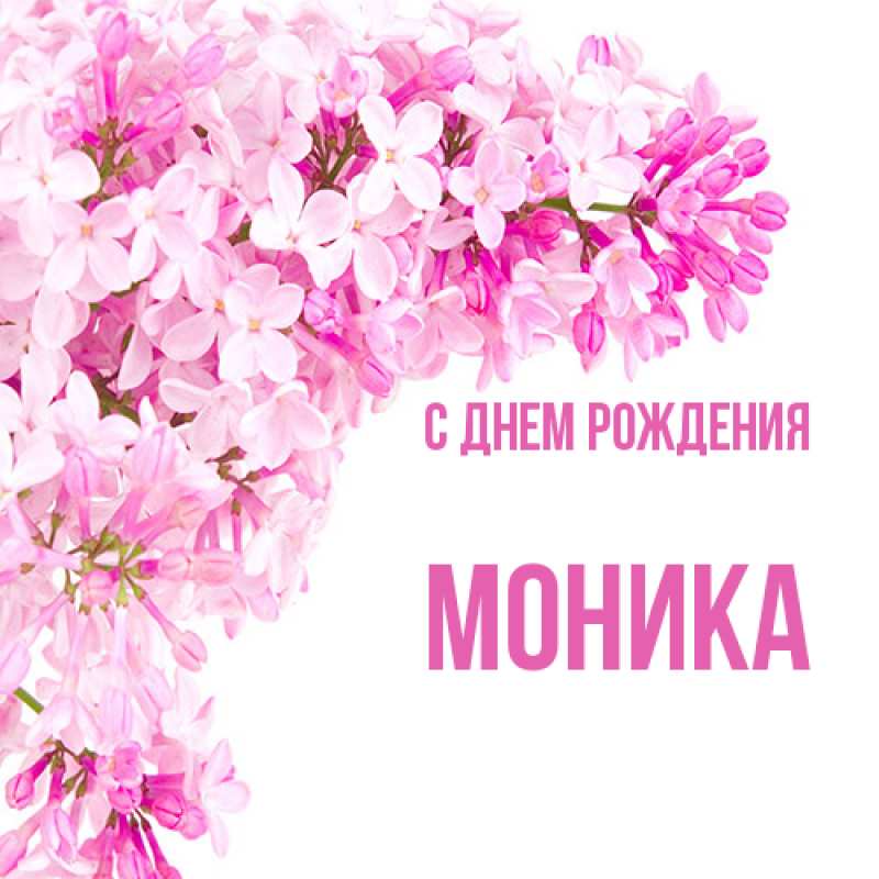 Картинка С днем рождения, Моника