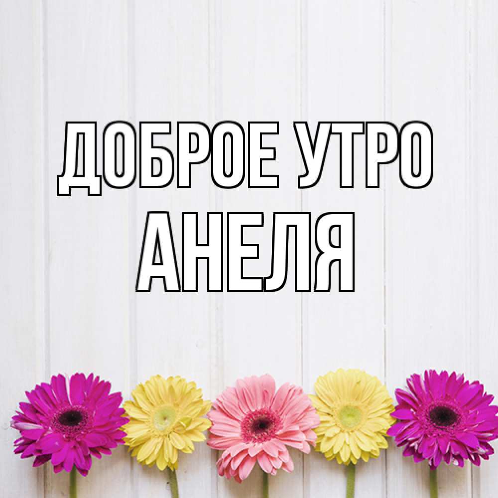 Открытка на каждый день с именем, Анеля Доброе утро красный желтый и розовый цветок Прикольная открытка с пожеланием онлайн скачать бесплатно 