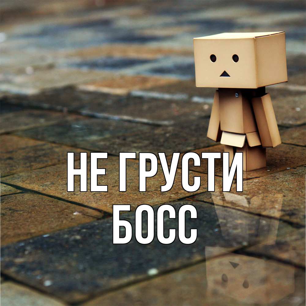 Открытка на каждый день с именем, Босс Не грусти Стив Прикольная открытка с пожеланием онлайн скачать бесплатно 