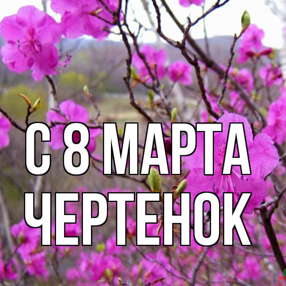 Открытка на каждый день с именем, чеpтенок C 8 МАРТА международный женский день Прикольная открытка с пожеланием онлайн скачать бесплатно 