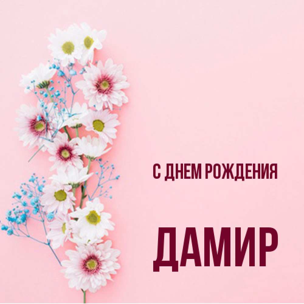 Открытка на каждый день с именем, Дамир С днем рождения Родная моя с днем рождения тебя картинка с цветами белыми и голубыми Прикольная открытка с пожеланием онлайн скачать бесплатно 