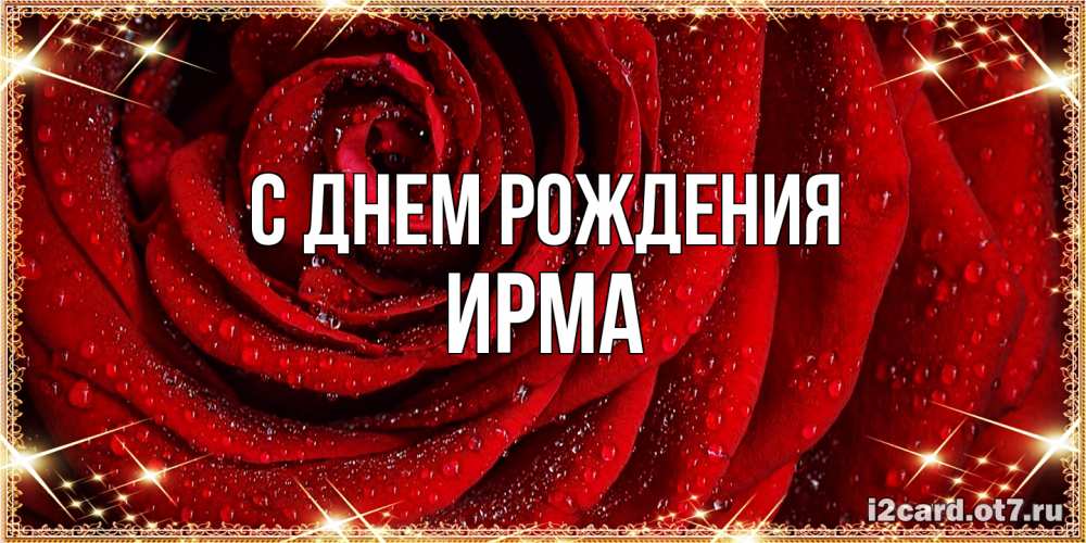 Открытка на каждый день с именем, Ирма С днем рождения роса на розе блестящая в лучах солнца Прикольная открытка с пожеланием онлайн скачать бесплатно 