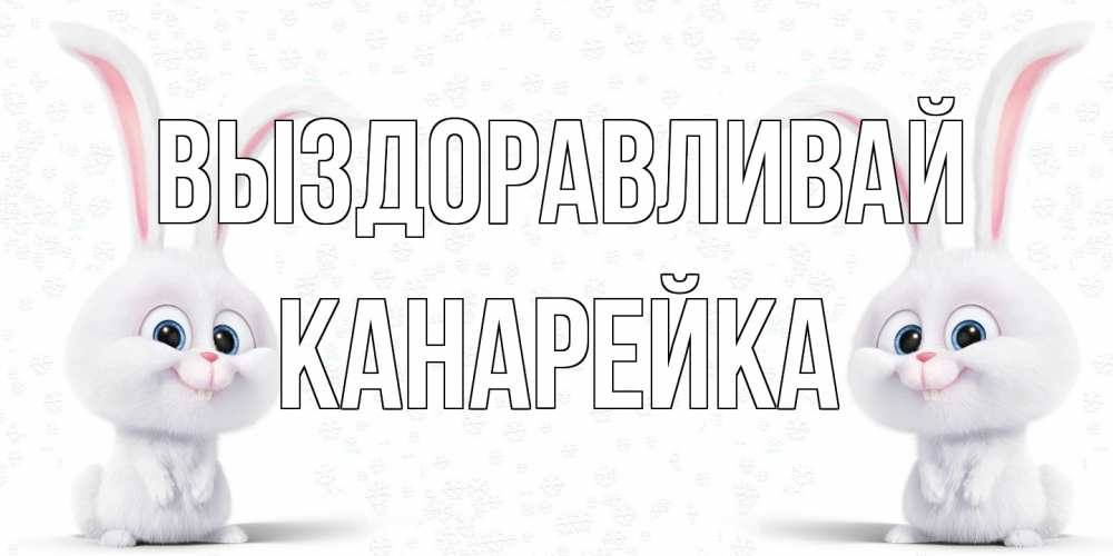 Открытка на каждый день с именем, Канарейка Выздоравливай не болей с зайцем Прикольная открытка с пожеланием онлайн скачать бесплатно 