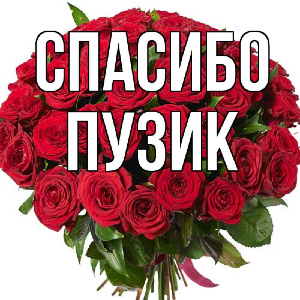 Открытка на каждый день с именем, Пузик Спасибо букет красных роз Прикольная открытка с пожеланием онлайн скачать бесплатно 