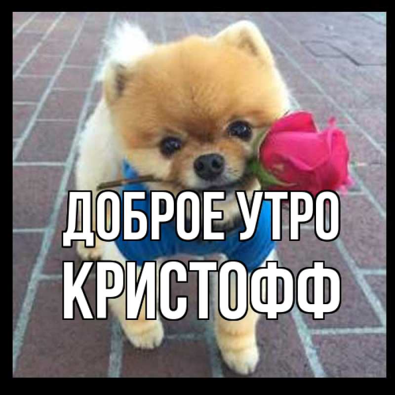 Картинка Доброе утро, Кристофф