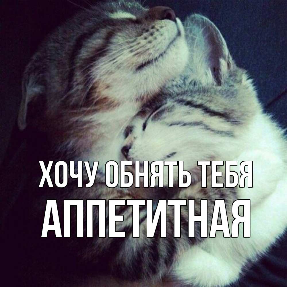 Открытка на каждый день с именем, аппетитная Хочу обнять тебя полосатики Прикольная открытка с пожеланием онлайн скачать бесплатно 