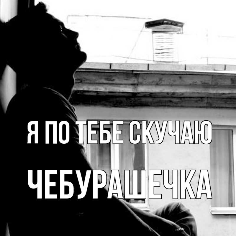 Картинка Я по тебе скучаю, Чебурашечка