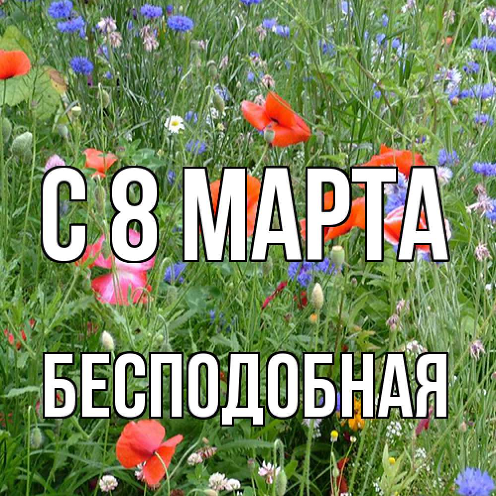 Открытка на каждый день с именем, бесподобная C 8 МАРТА международный женский день 4 Прикольная открытка с пожеланием онлайн скачать бесплатно 