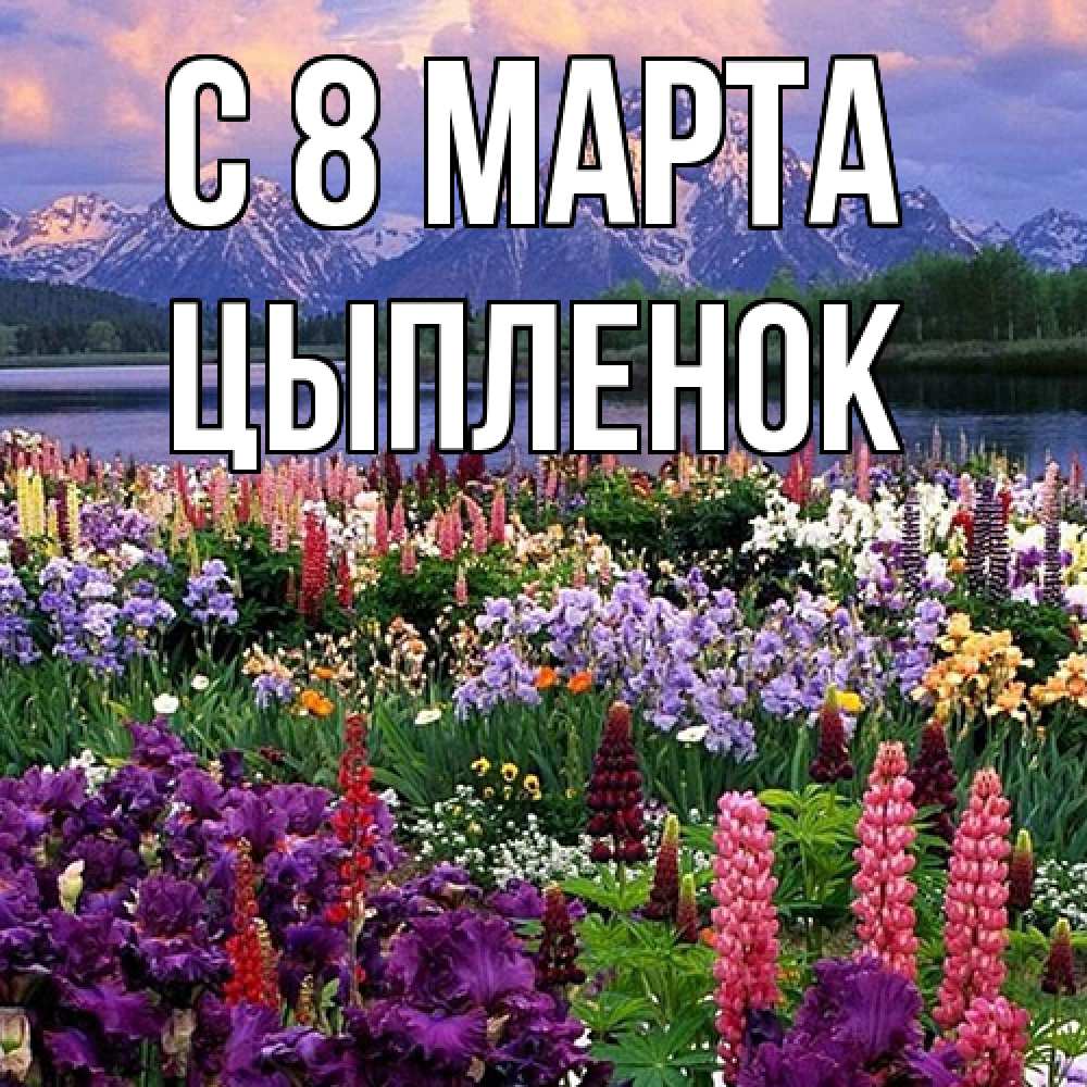 Открытка на каждый день с именем, Цыпленок C 8 МАРТА международный женский день Прикольная открытка с пожеланием онлайн скачать бесплатно 