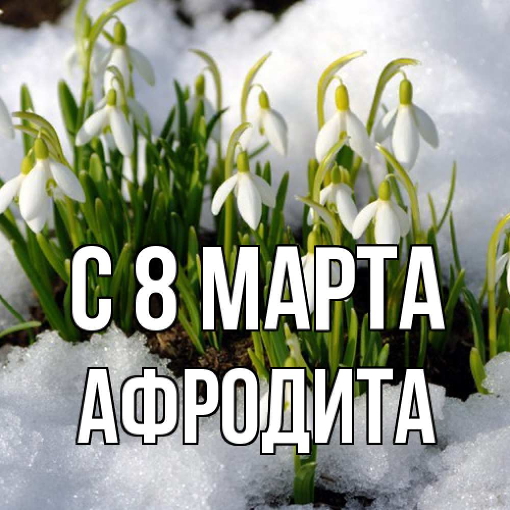 Открытка на каждый день с именем, Афродита C 8 МАРТА цветы весенние Прикольная открытка с пожеланием онлайн скачать бесплатно 
