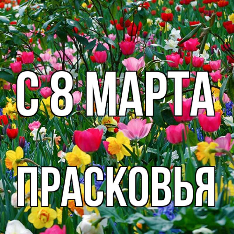 Картинка C 8 МАРТА, Прасковья