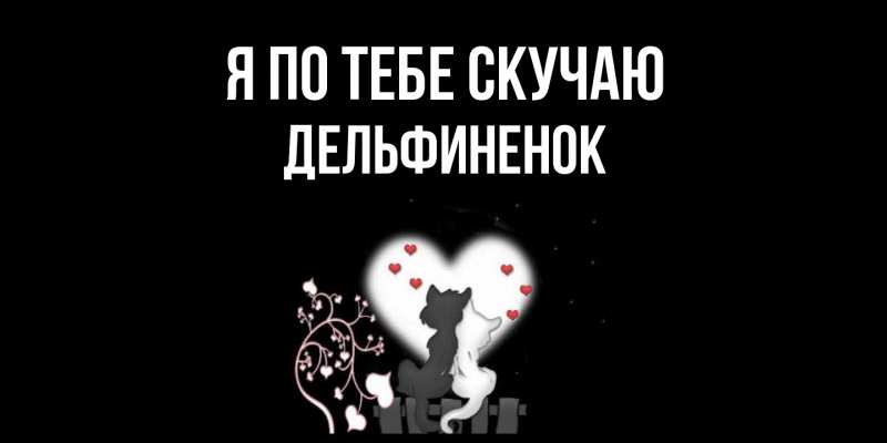 Картинка Я по тебе скучаю, дельфиненок