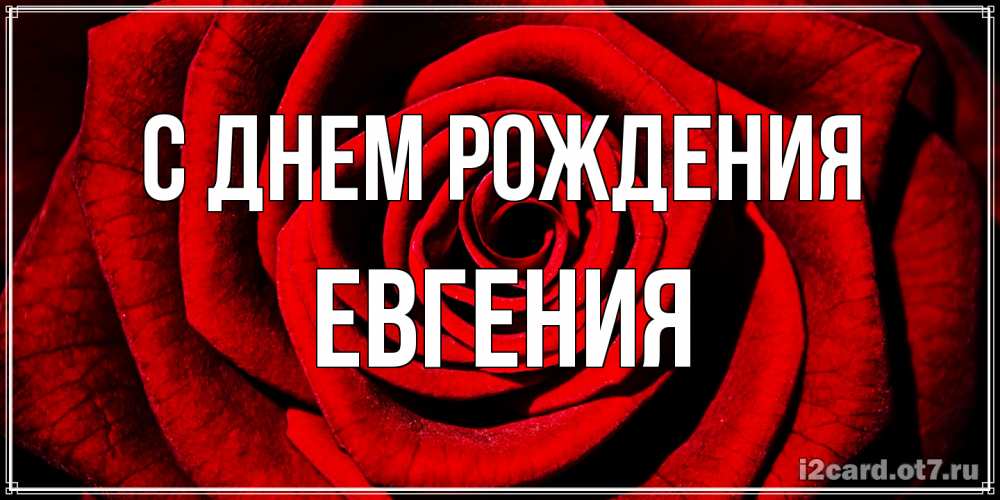 Открытка на каждый день с именем, Евгения С днем рождения алая роза Прикольная открытка с пожеланием онлайн скачать бесплатно 