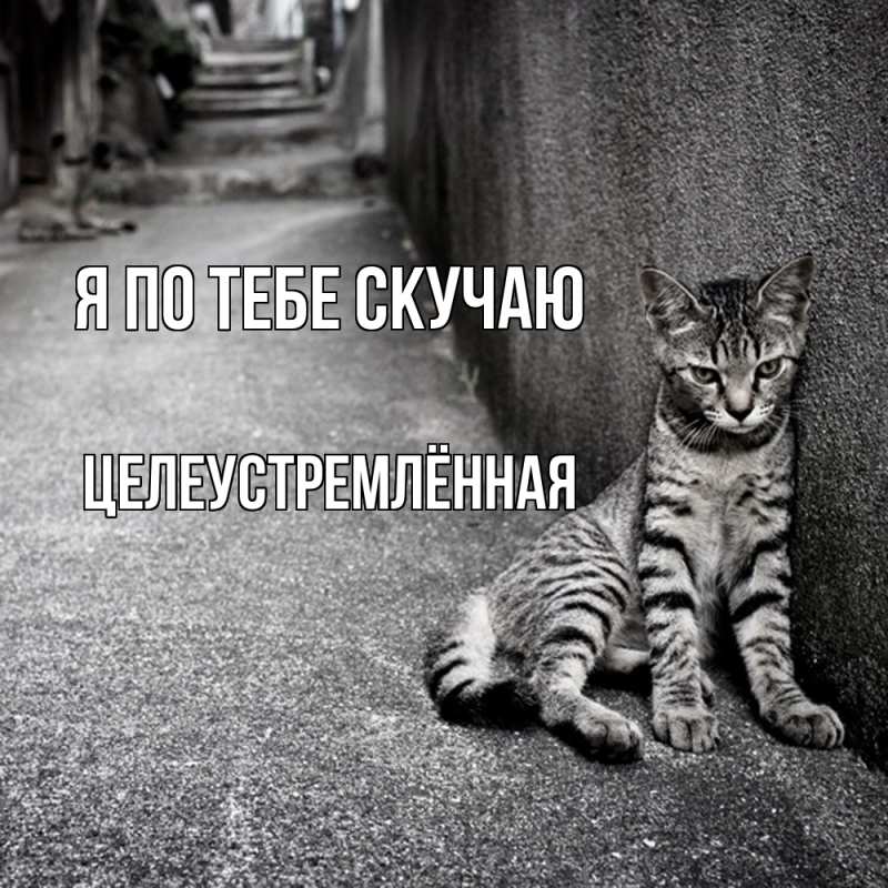 Картинка Я по тебе скучаю, Целеустремлённая