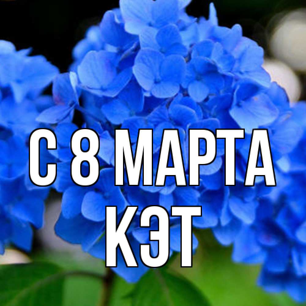 Открытка на каждый день с именем, Кэт C 8 МАРТА синие цветы Прикольная открытка с пожеланием онлайн скачать бесплатно 