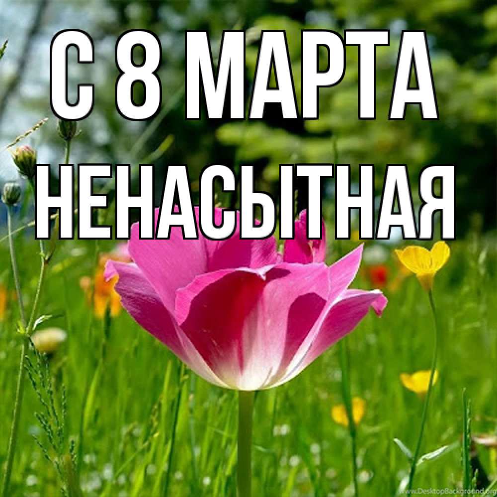 Открытка на каждый день с именем, Ненасытная C 8 МАРТА полевые цветы Прикольная открытка с пожеланием онлайн скачать бесплатно 