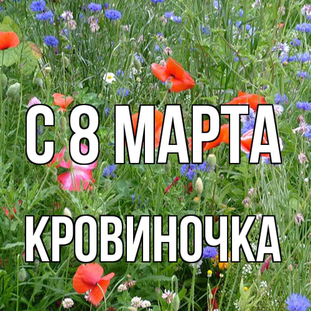 Открытка на каждый день с именем, кровиночка C 8 МАРТА международный женский день 4 Прикольная открытка с пожеланием онлайн скачать бесплатно 