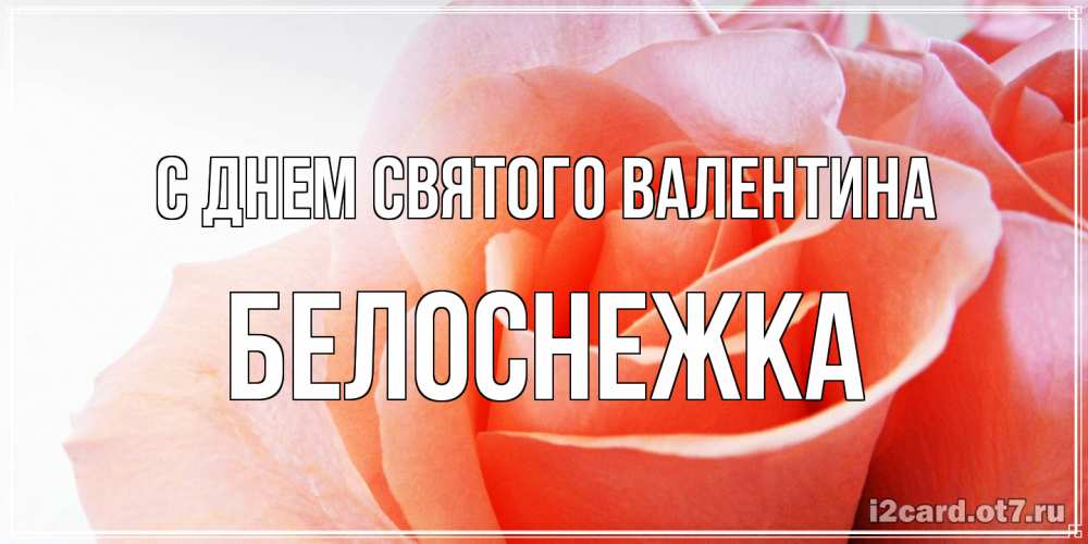 Открытка на каждый день с именем, Белоснежка С днем Святого Валентина открытка на день Святого Валентина с розовой розой Прикольная открытка с пожеланием онлайн скачать бесплатно 