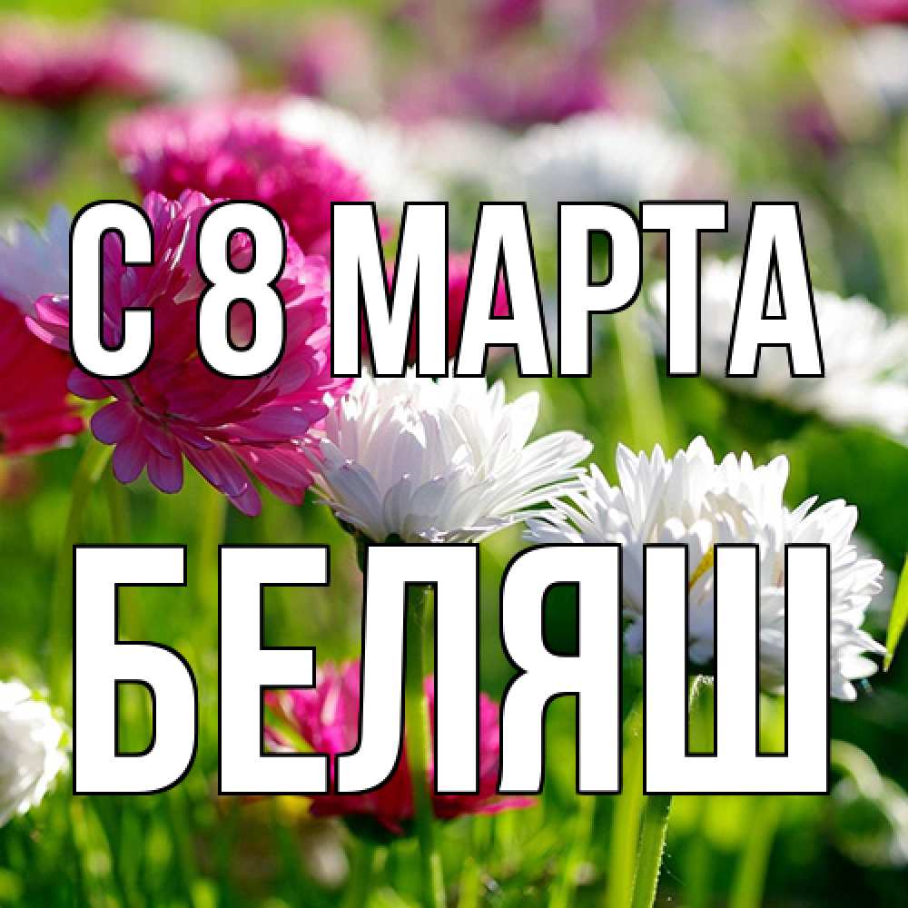 Открытка на каждый день с именем, Беляш C 8 МАРТА международный женский день 1 Прикольная открытка с пожеланием онлайн скачать бесплатно 