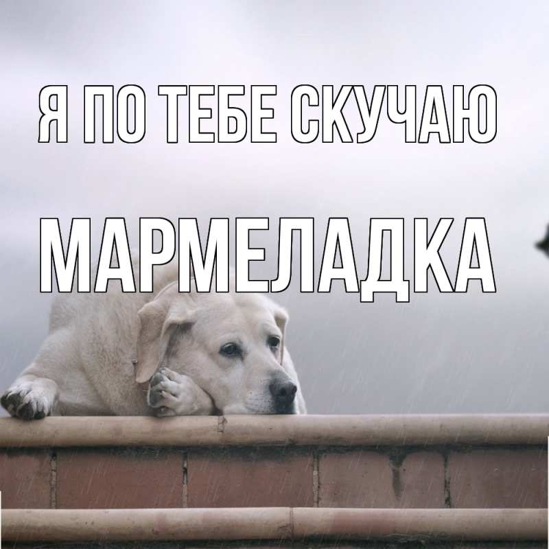 Картинка Я по тебе скучаю, мармеладка