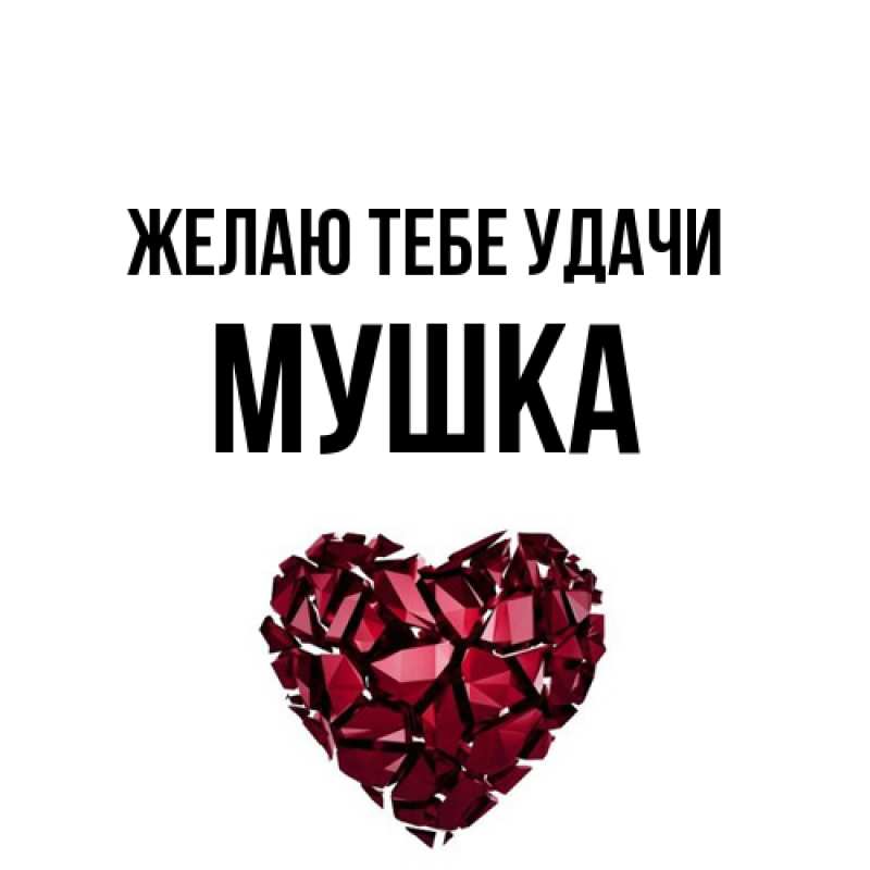 Картинка Желаю тебе удачи, мушка