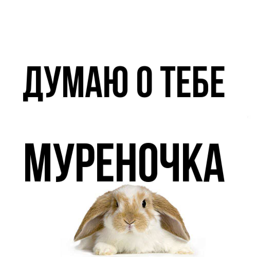 Открытка на каждый день с именем, Муpеночка Думаю о тебе подписать своими руками онлайн Прикольная открытка с пожеланием онлайн скачать бесплатно 