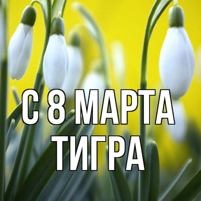 Картинка C 8 МАРТА, Тигpа