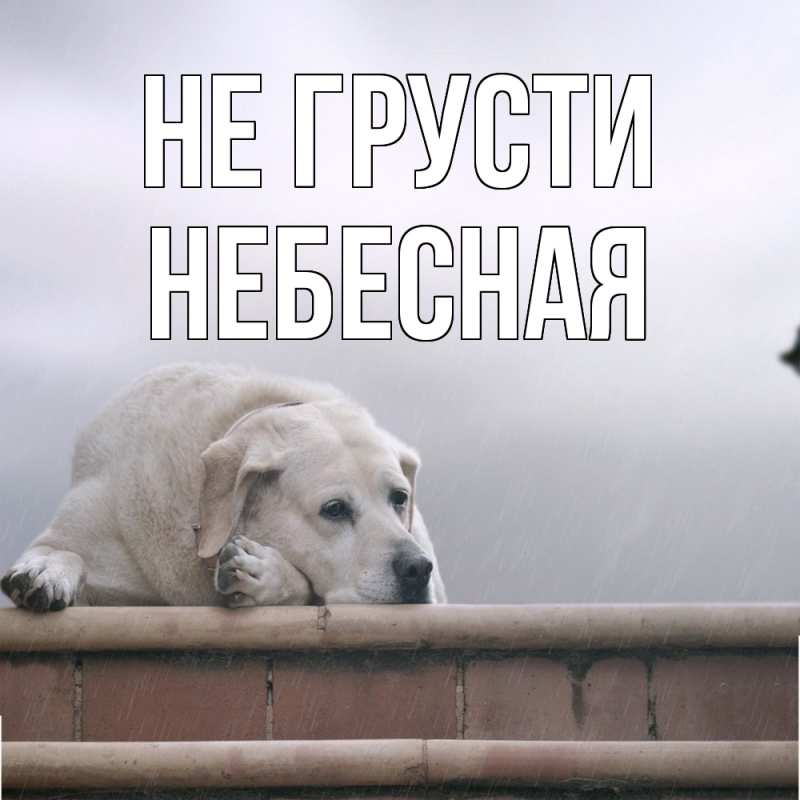 Картинка Не грусти, небесная