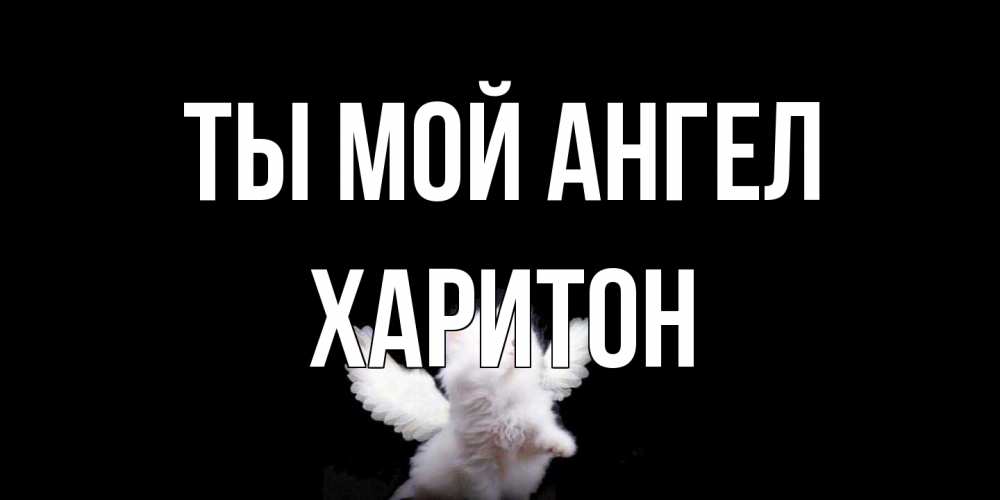 Открытка на каждый день с именем, Харитон Ты мой ангел Кот ангел Прикольная открытка с пожеланием онлайн скачать бесплатно 