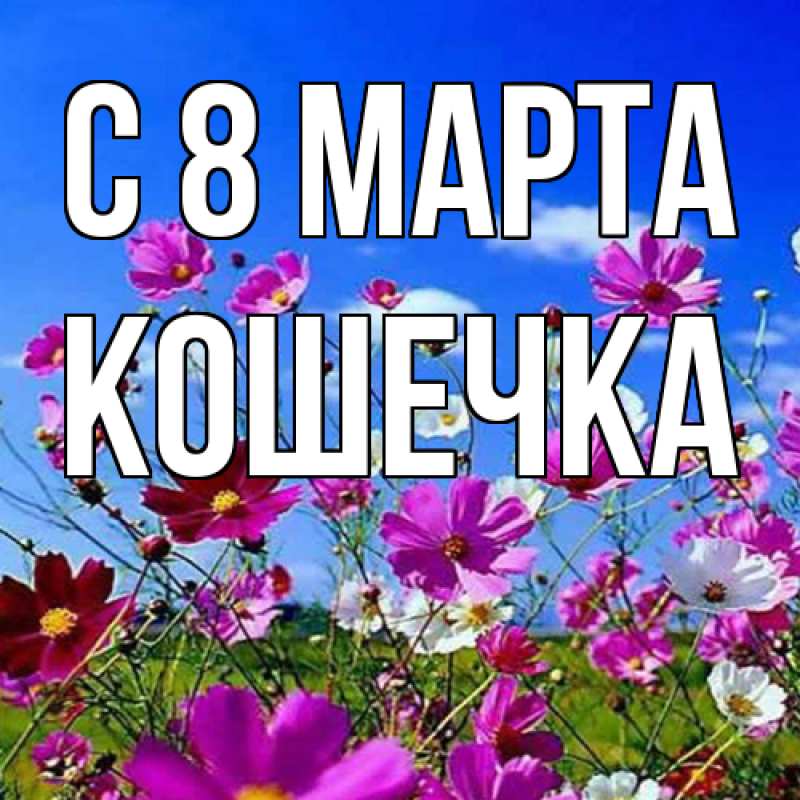 Картинка C 8 МАРТА, кошечка