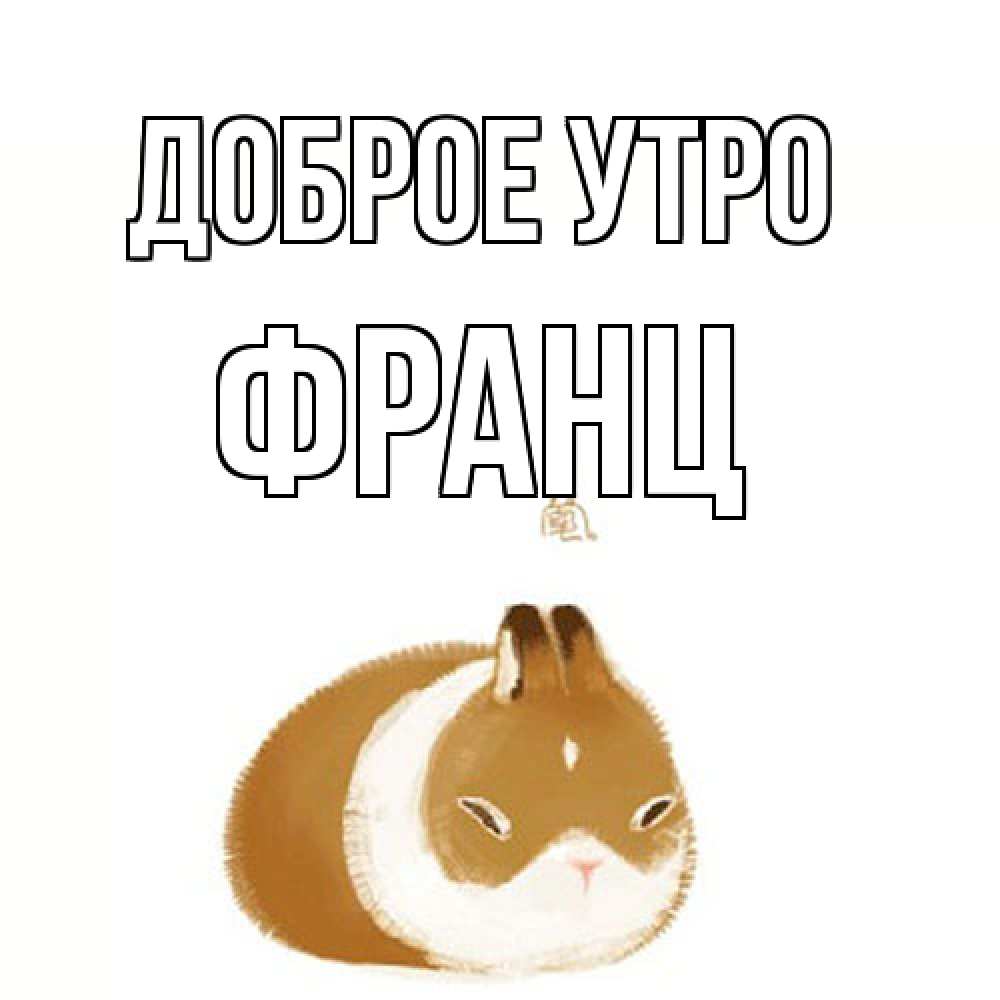 Открытка на каждый день с именем, Франц Доброе утро хорошего утречка Прикольная открытка с пожеланием онлайн скачать бесплатно 