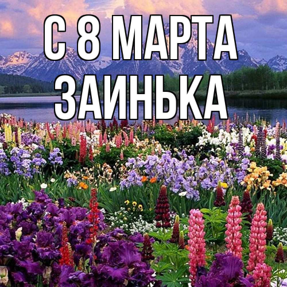 Открытка на каждый день с именем, Заинька C 8 МАРТА международный женский день Прикольная открытка с пожеланием онлайн скачать бесплатно 