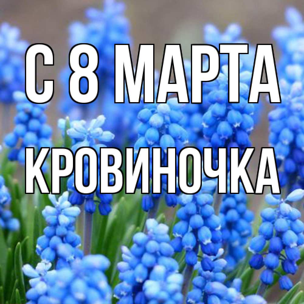 Открытка на каждый день с именем, кровиночка C 8 МАРТА Поздравительная открытка для женщин с цветами на праздничную дату Прикольная открытка с пожеланием онлайн скачать бесплатно 