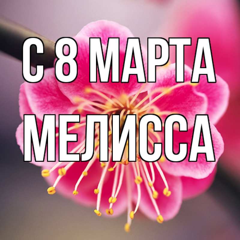 Картинка C 8 МАРТА, Мелисса