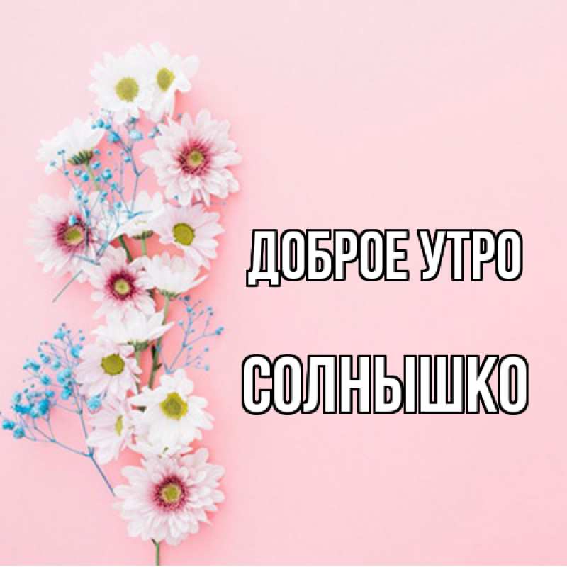 Картинка Доброе утро, Солнышко