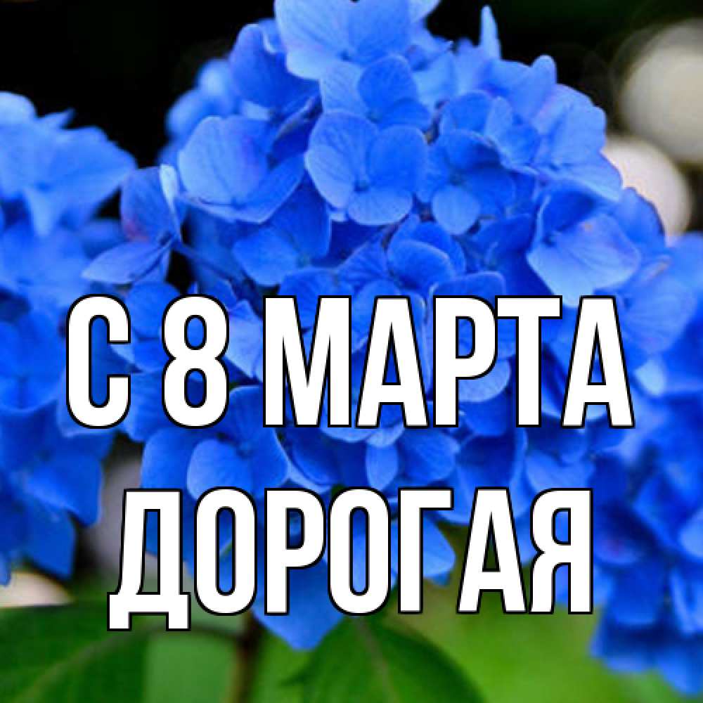 Открытка на каждый день с именем, Дорогая C 8 МАРТА синие цветы Прикольная открытка с пожеланием онлайн скачать бесплатно 