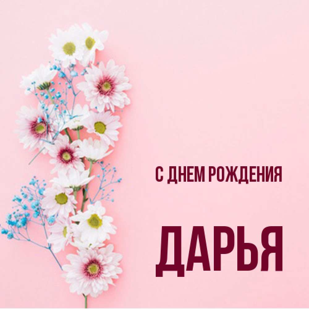 Открытка на каждый день с именем, Дарья С днем рождения Родная моя с днем рождения тебя картинка с цветами белыми и голубыми Прикольная открытка с пожеланием онлайн скачать бесплатно 