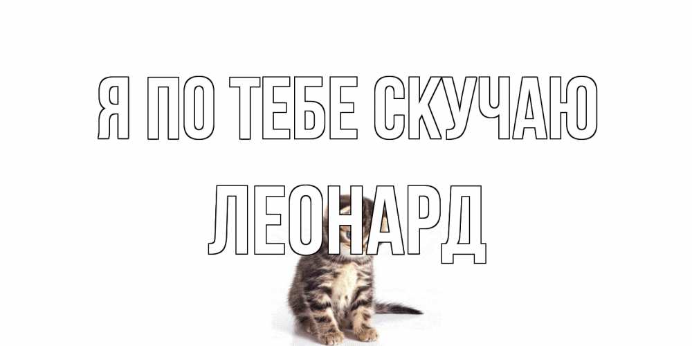 Открытка на каждый день с именем, Леонард Я по тебе скучаю кот Прикольная открытка с пожеланием онлайн скачать бесплатно 