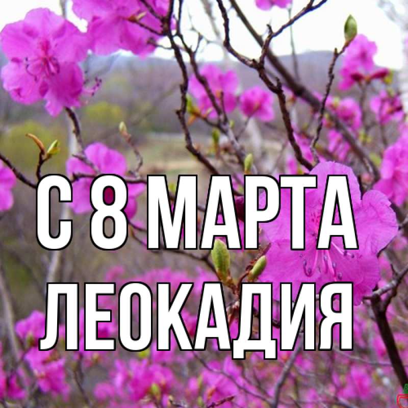 Картинка C 8 МАРТА, Леокадия