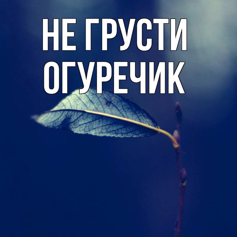 Картинка Не грусти, Огуречик