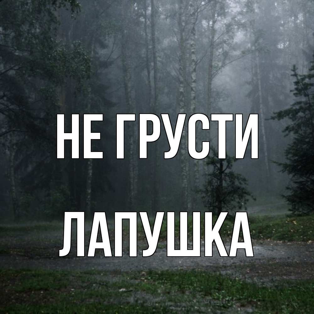 Открытка на каждый день с именем, лапушка Не грусти осень Прикольная открытка с пожеланием онлайн скачать бесплатно 