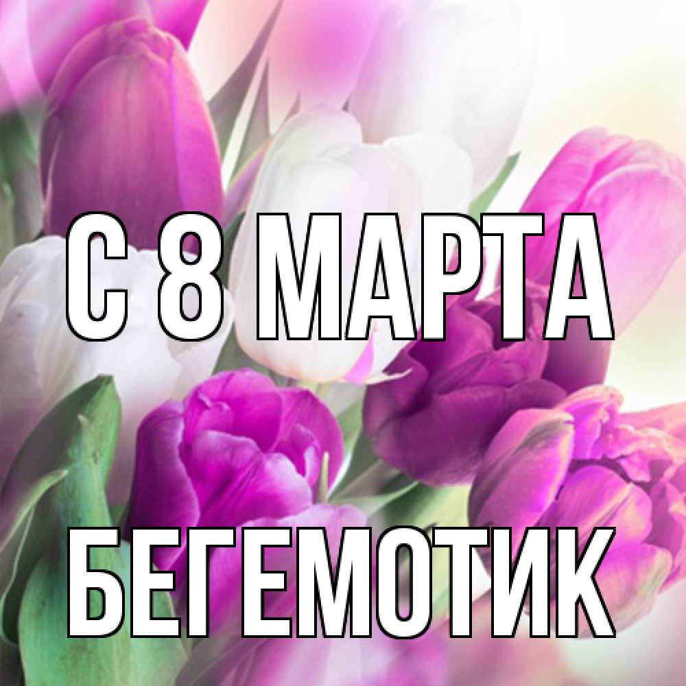 Открытка на каждый день с именем, Бегемотик C 8 МАРТА весна 1 Прикольная открытка с пожеланием онлайн скачать бесплатно 