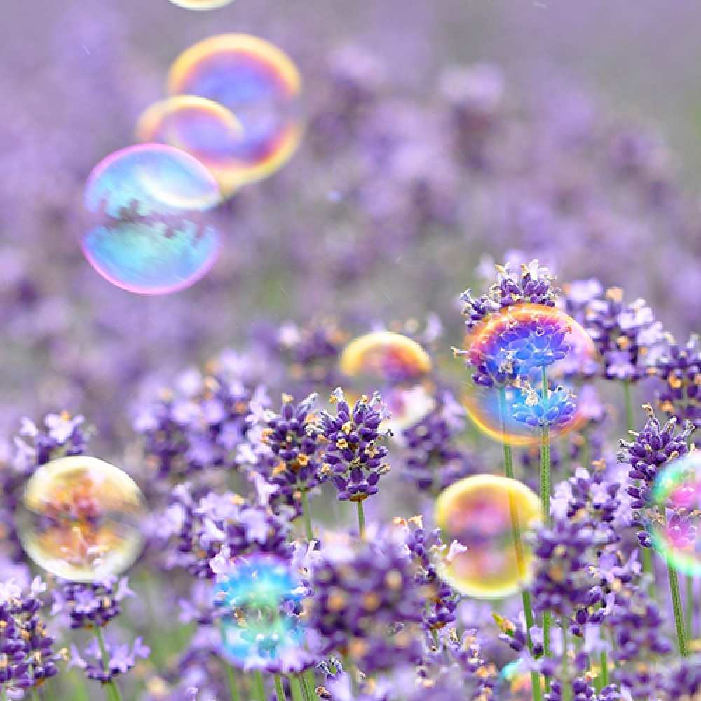 Открытка на каждый день с именем, восхитительная C 8 МАРТА цветы Прикольная открытка с пожеланием онлайн скачать бесплатно 