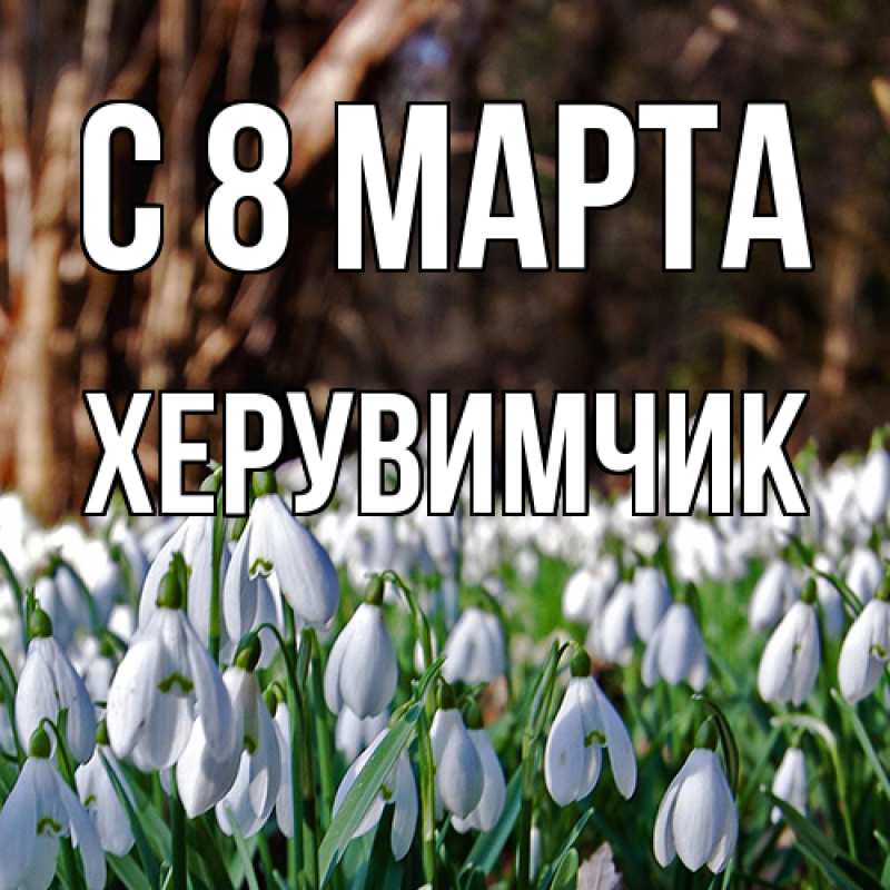 Картинка C 8 МАРТА, херувимчик