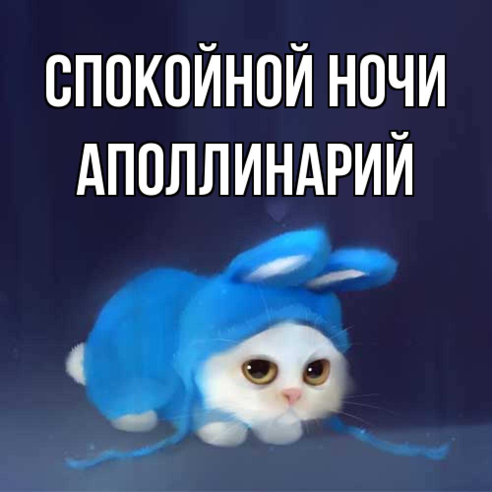 Открытка на каждый день с именем, Аполлинарий Спокойной ночи кот в голубом костюме кролика с ушками Прикольная открытка с пожеланием онлайн скачать бесплатно 