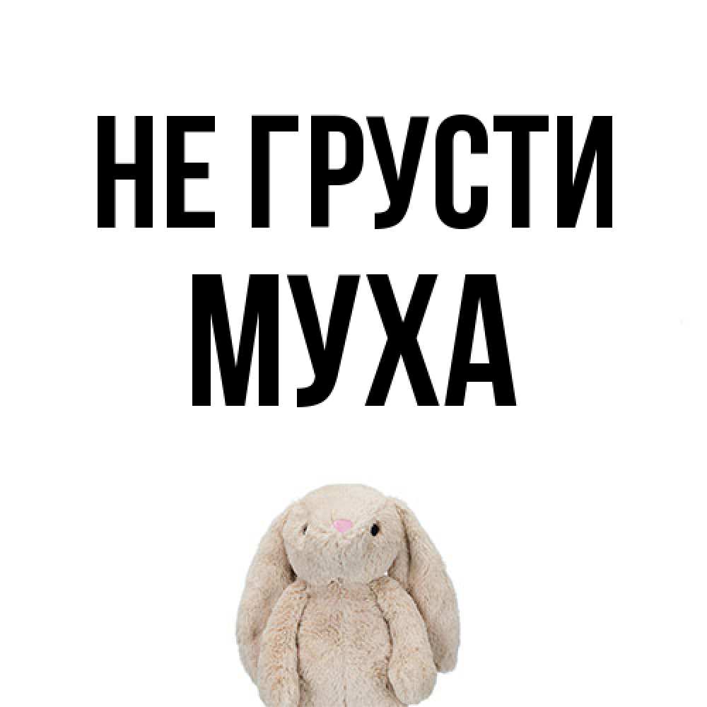 Открытка на каждый день с именем, Муха Не грусти детская игрушка зайчика Прикольная открытка с пожеланием онлайн скачать бесплатно 