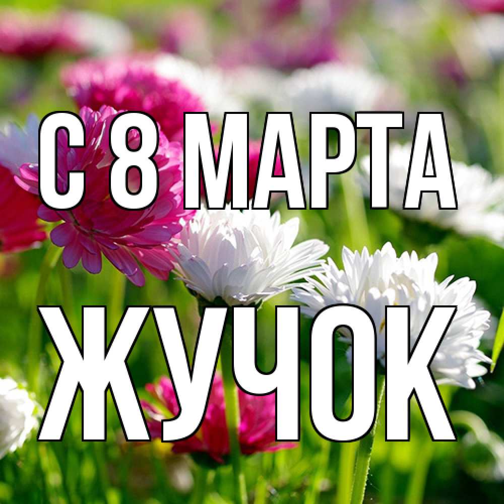 Открытка на каждый день с именем, жучок C 8 МАРТА международный женский день 1 Прикольная открытка с пожеланием онлайн скачать бесплатно 