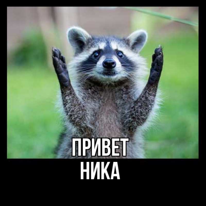 Картинка Привет, Ника