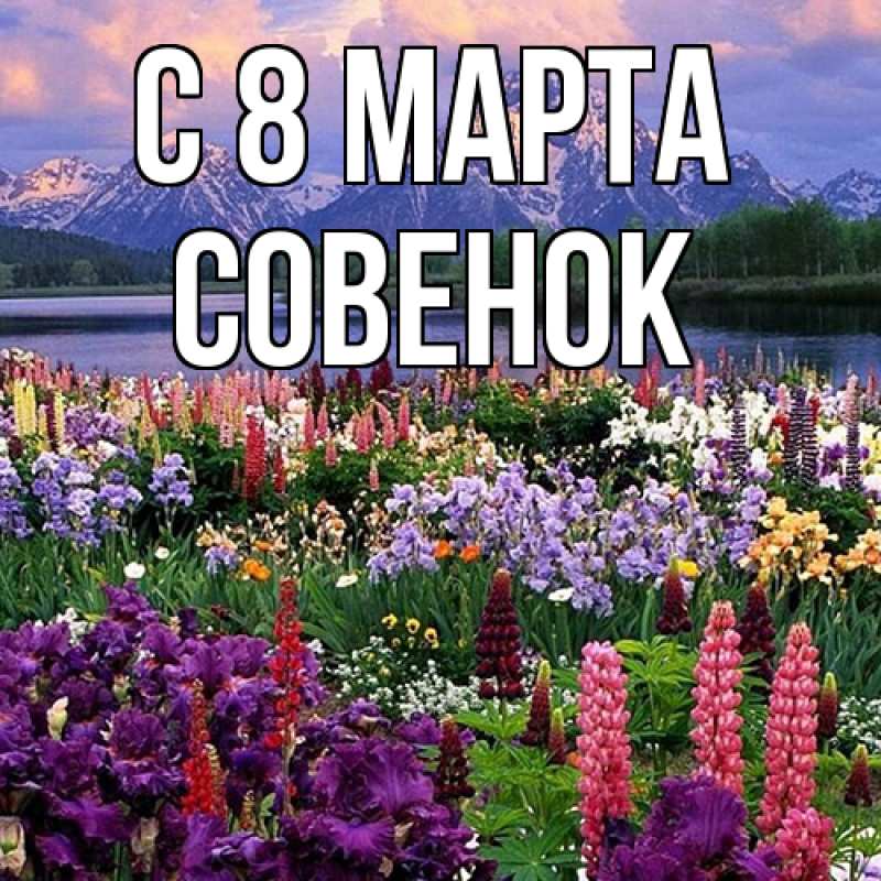 Картинка C 8 МАРТА, совенок